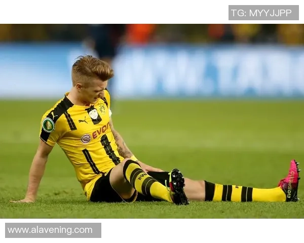 搞笑足球明星罗伊斯的趣事与精彩瞬间大揭秘