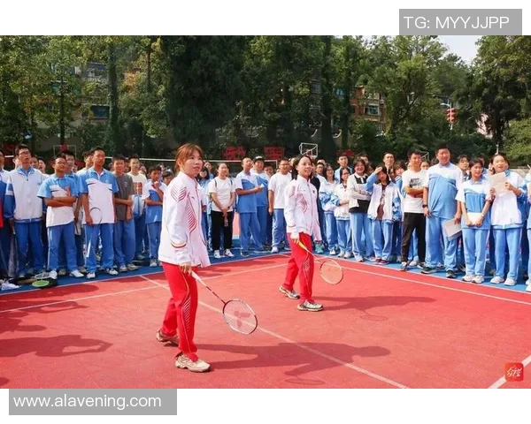 杨伟独家分享篮球心得与技巧助你提升球技的实用指南