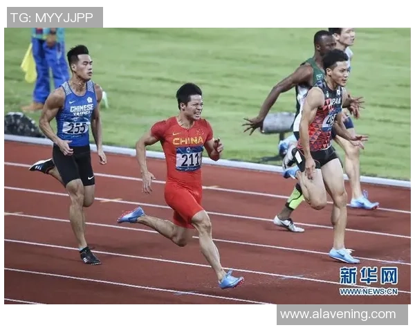 深圳排球队拼搏之路：亚运会背后的奋斗与荣耀