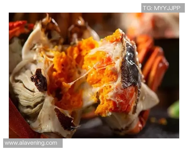 美食界的足球明星如何用味蕾征服世界的舌尖与心灵