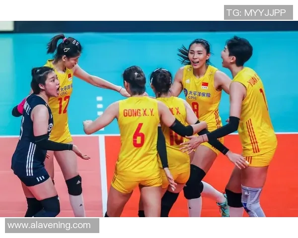 排球团队协作排行榜：南京排球队位居第6名