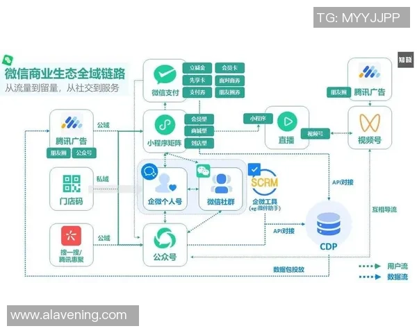 专业解读:V5的运营打法 专业解读:V5的运营打法