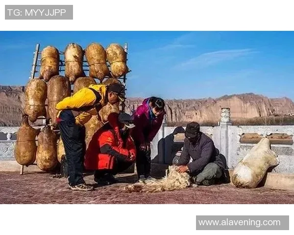 极限运动新手攻略：心理素质入门指南