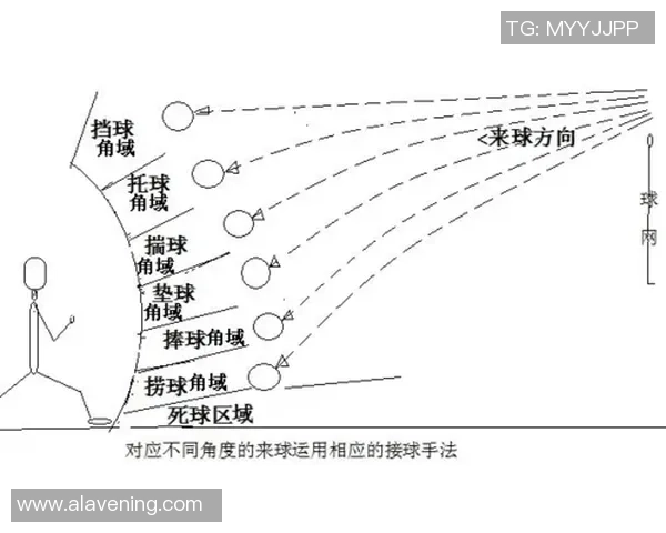 排球新手攻略：耐力入门指南